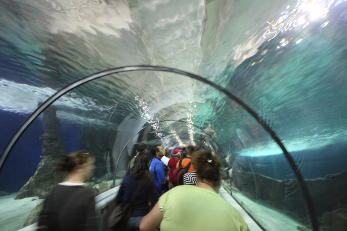 Marineland - Aquarium - 019